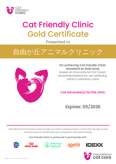 Cat Friendly Clinic Gold Certificate