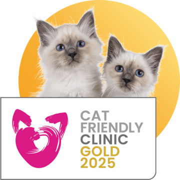 Cat Friendly Clinic IMAGE
